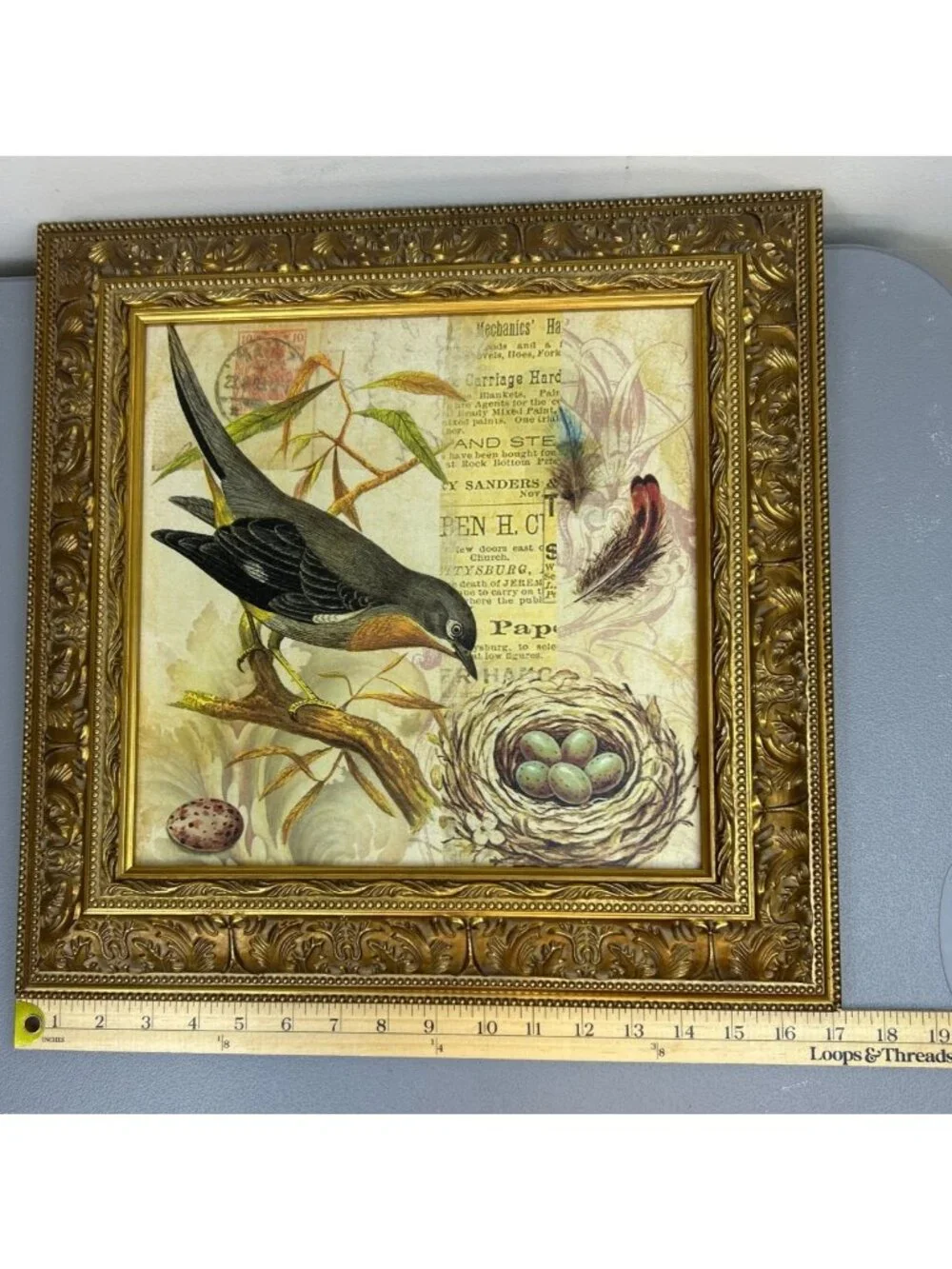 Vintage Framed Bird Nest Wall Art Ornate Gold Frame Cottage Farmhouse Decor